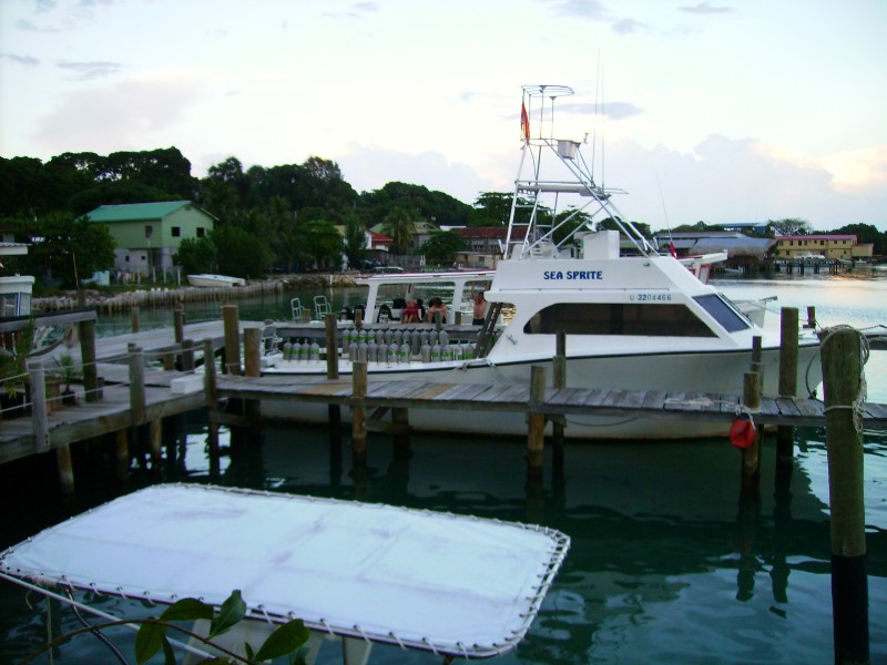 ../Images/seasprite 2.jpg